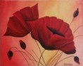/album/fenykepgaleria/poppies-2xafd3qa4wfre-jpg1/